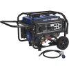 Powerhorse Dual Fuel Generator — 4000 Surge Watts, 3240 Rated Watts, Electric Start